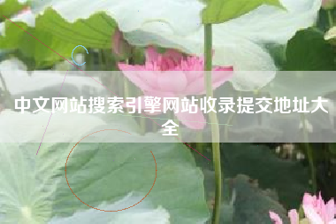 中文网站搜索引擎网站收录提交地址大全