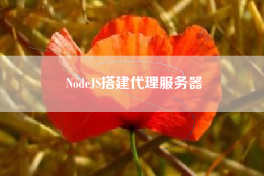 NodeJS搭建代理服务器