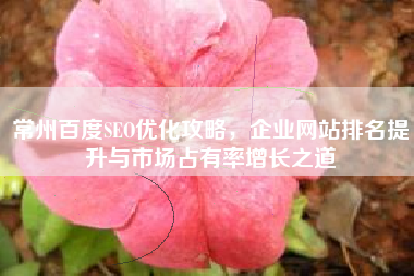 常州百度SEO优化攻略，企业网站排名提升与市场占有率增长之道