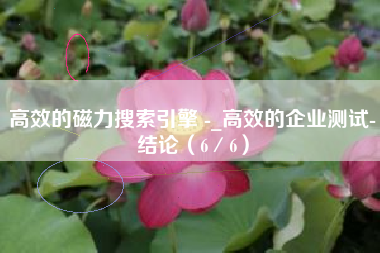 高效的磁力搜索引擎 -_高效的企业测试-结论（6／6）