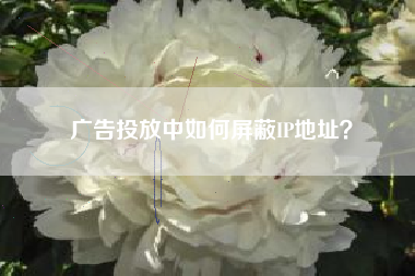 广告投放中如何屏蔽IP地址？