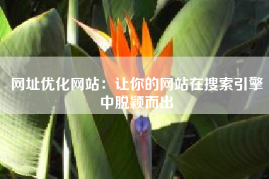 网址优化网站：让你的网站在搜索引擎中脱颖而出