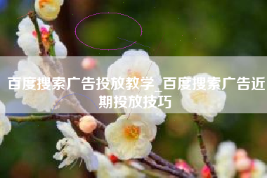 百度搜索广告投放教学_百度搜索广告近期投放技巧