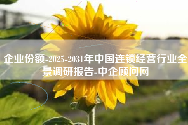 企业份额-2025-2031年中国连锁经营行业全景调研报告-中企顾问网