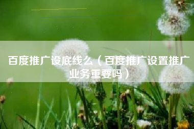 百度推广设底线么（百度推广设置推广业务重要吗）