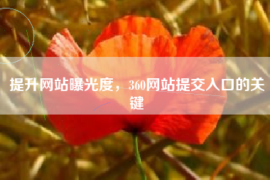 提升网站曝光度，360网站提交入口的关键