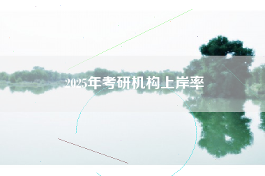 2025年考研机构上岸率