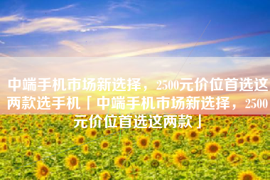 中端手机市场新选择，2500元价位首选这两款选手机「中端手机市场新选择，2500元价位首选这两款」