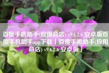 百度手机助手(应用商店) v9.6.2.6 安卓版百度手机助手app下载「百度手机助手(应用商店) v9.6.2.6 安卓版」