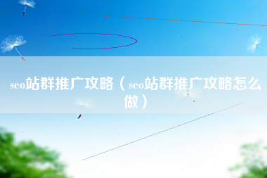 seo站群推广攻略（seo站群推广攻略怎么做）