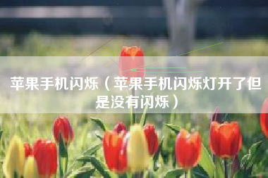 苹果手机闪烁（苹果手机闪烁灯开了但是没有闪烁）