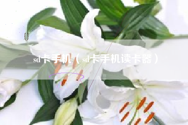 sd卡手机（sd卡手机读卡器）