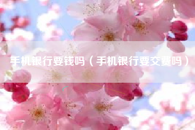 手机银行要钱吗（手机银行要交费吗）