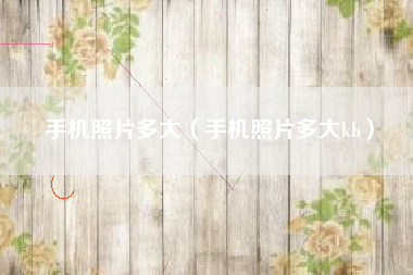 手机照片多大（手机照片多大kb）