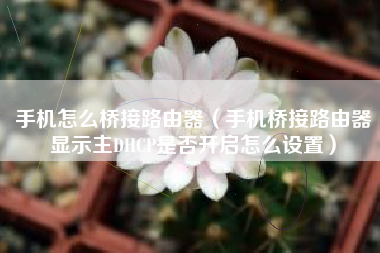 手机怎么桥接路由器（手机桥接路由器显示主DHCP是否开启怎么设置）