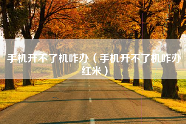 手机开不了机咋办（手机开不了机咋办红米）