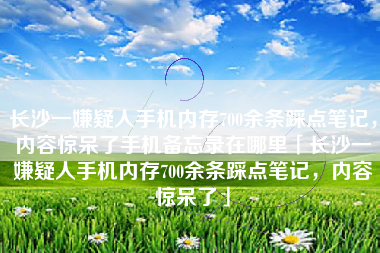 长沙一嫌疑人手机内存700余条踩点笔记，内容惊呆了手机备忘录在哪里「长沙一嫌疑人手机内存700余条踩点笔记，内容惊呆了」