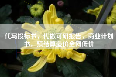 代写投标书，代做可研报告，商业计划书，预结算造价全网低价
