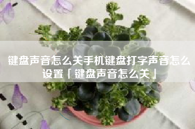 键盘声音怎么关手机键盘打字声音怎么设置「键盘声音怎么关」