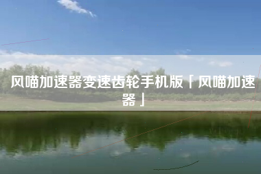 风喵加速器变速齿轮手机版「风喵加速器」