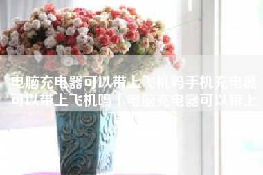 电脑充电器可以带上飞机吗手机充电器可以带上飞机吗「电脑充电器可以带上飞机吗」 电脑充电器可以带上飞机吗手机充电器可以带上飞机吗「电脑充电器可以带上飞机吗」