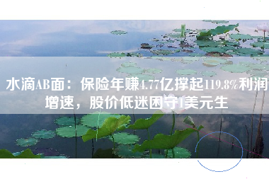 水滴AB面：保险年赚4.77亿撑起119.8%利润增速，股价低迷困守1美元生