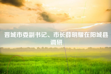 晋城市委副书记、市长薛明耀在阳城县调研