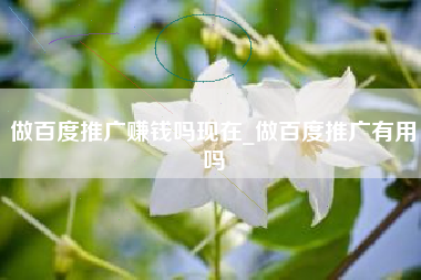 做百度推广赚钱吗现在_做百度推广有用吗